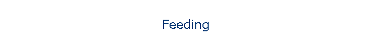 Feeding